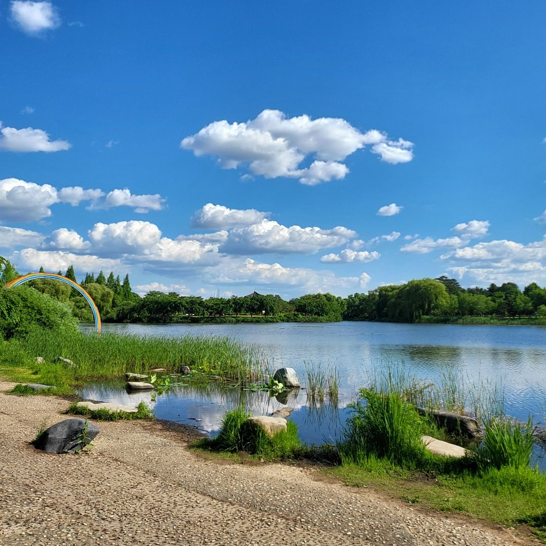 Ilsan lake park