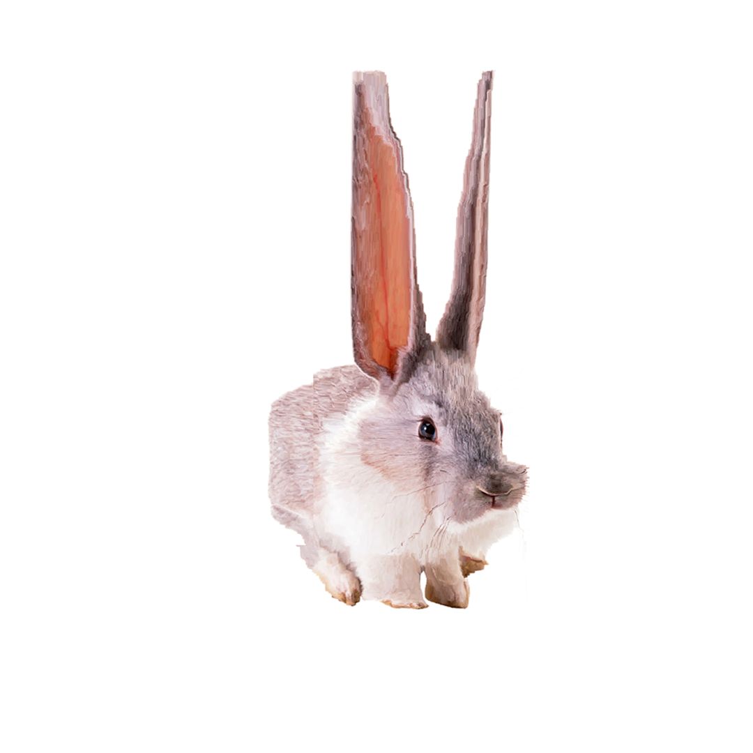 rabbet