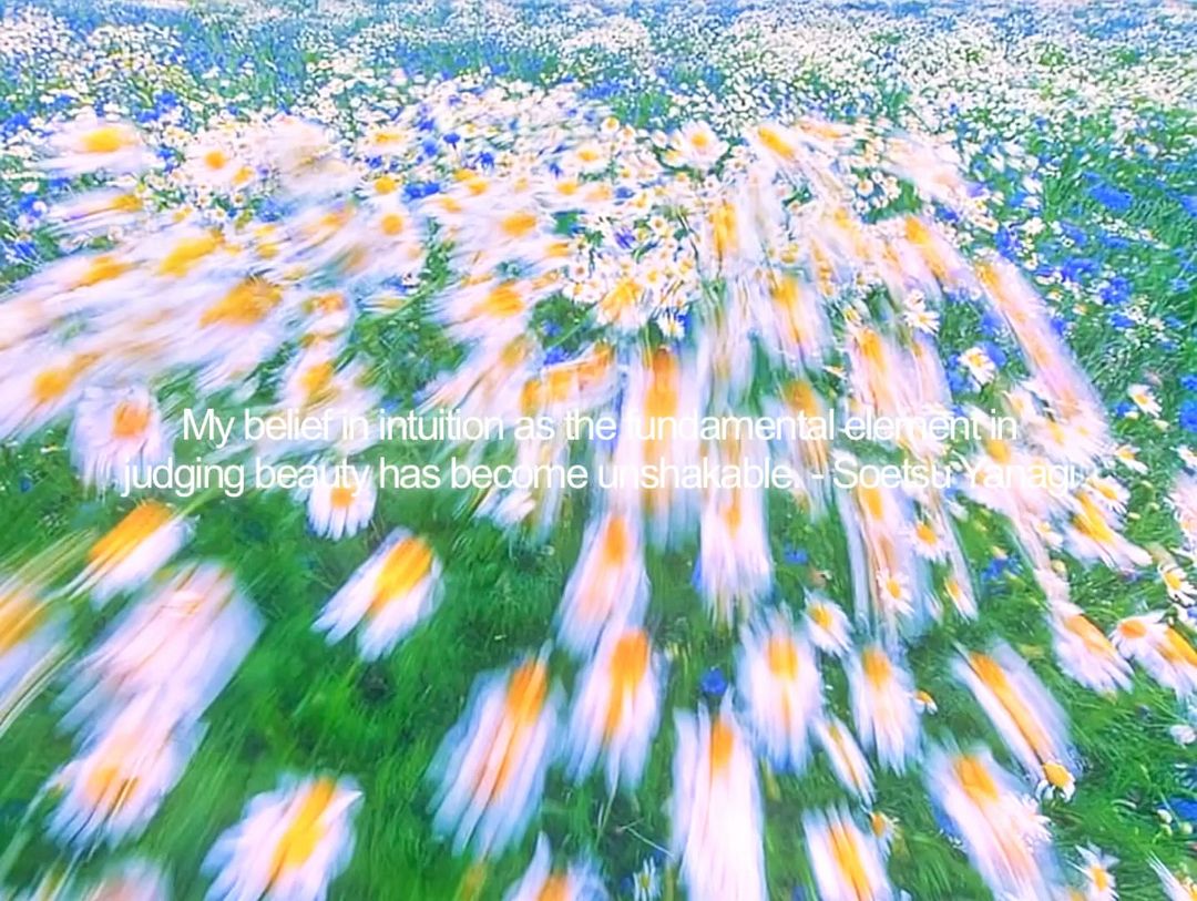 🌼
