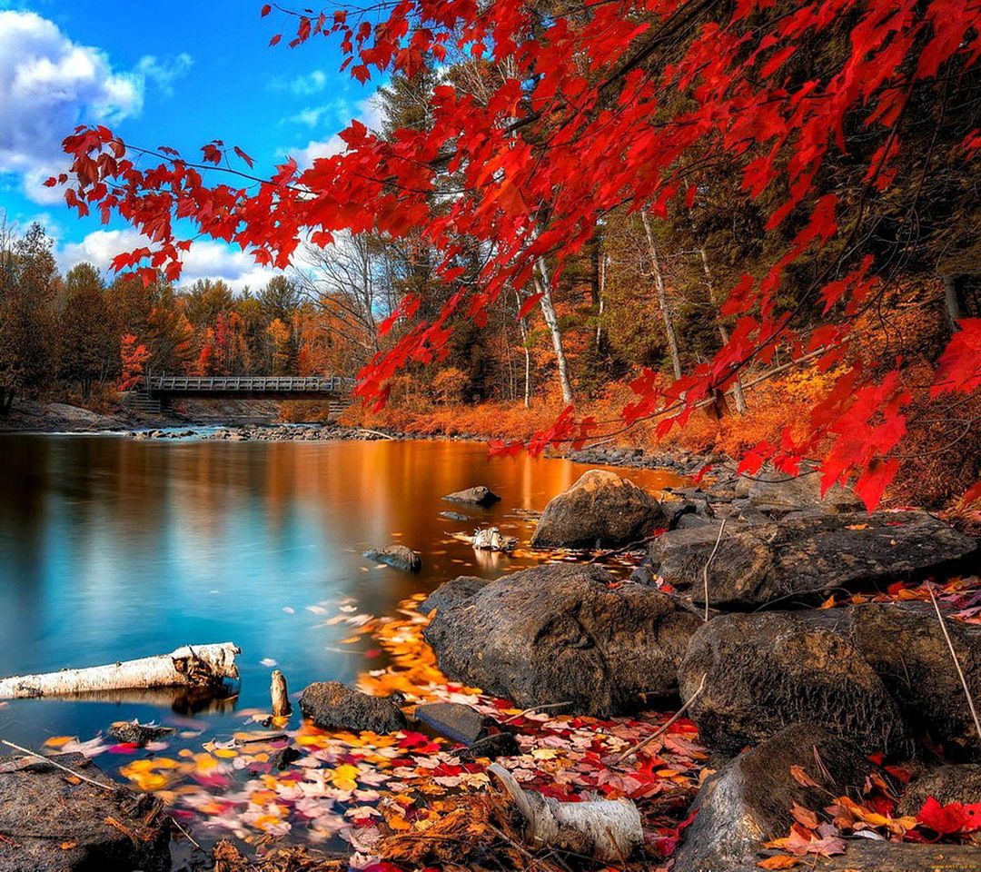 Autumn Lake