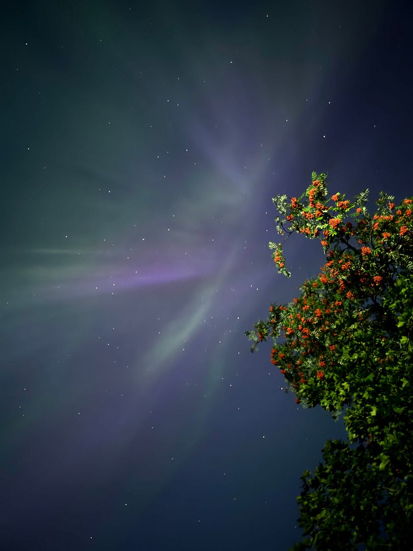 August Aurora