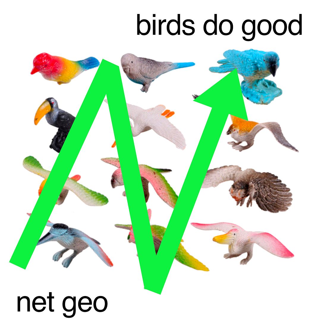 netgeo