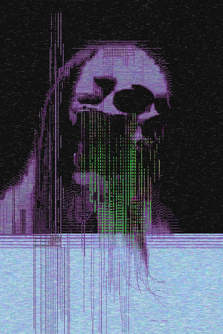 vɨđɇøđɍømɇ