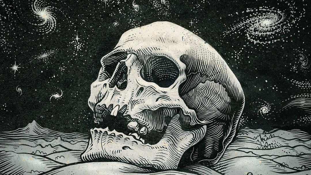 Skeleton art