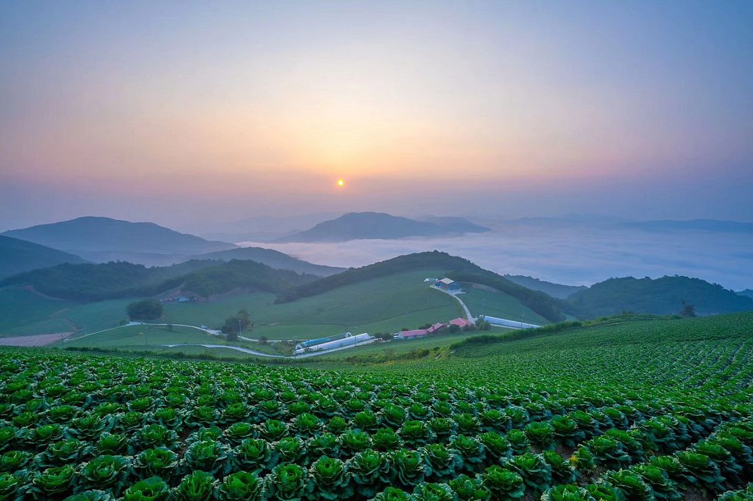 Anbandegi Village, Gangleung, Korea(안반데기)