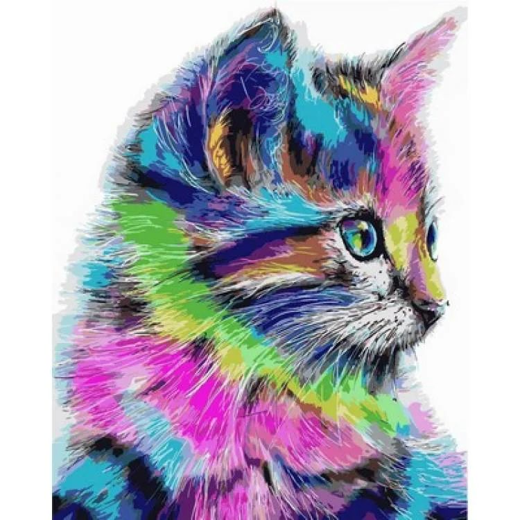 rainbow cat