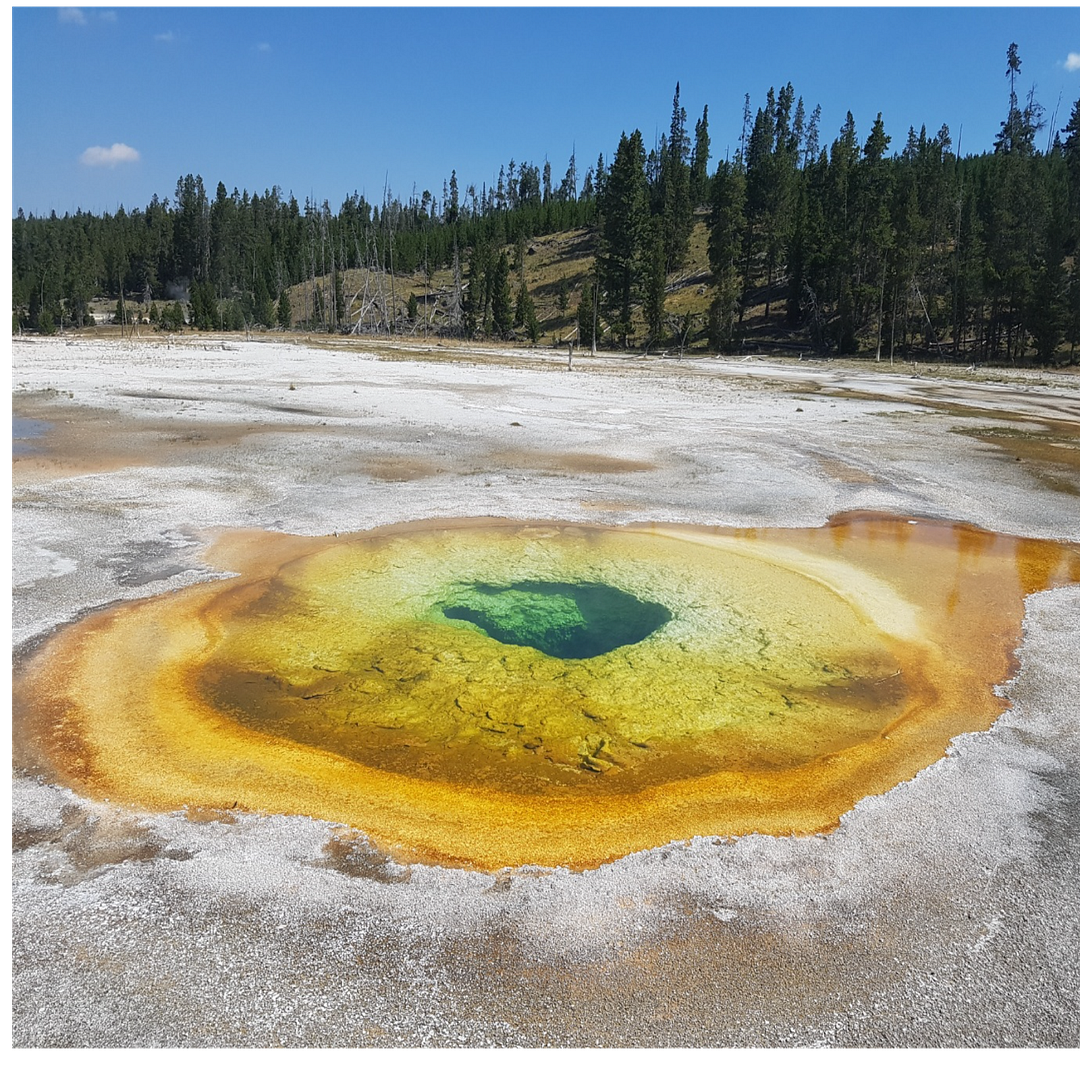 Yellowstone National Park, United States 2