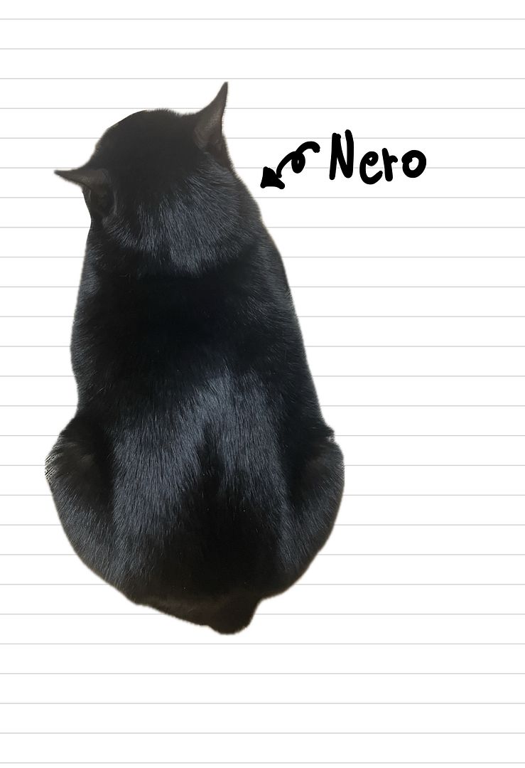 Nero_8