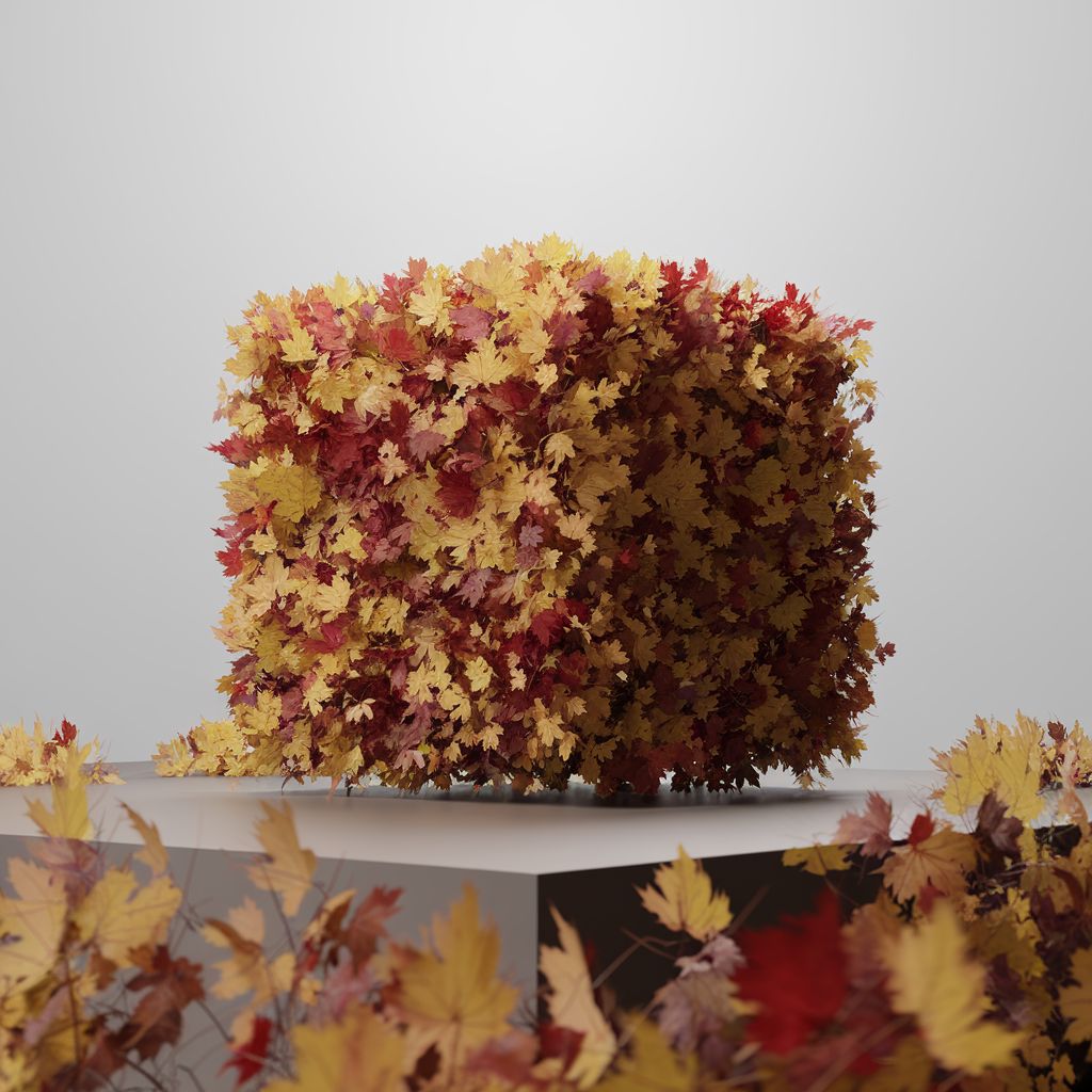 Autumn cube