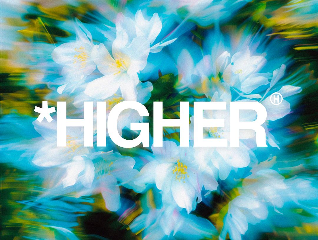 bloom higher