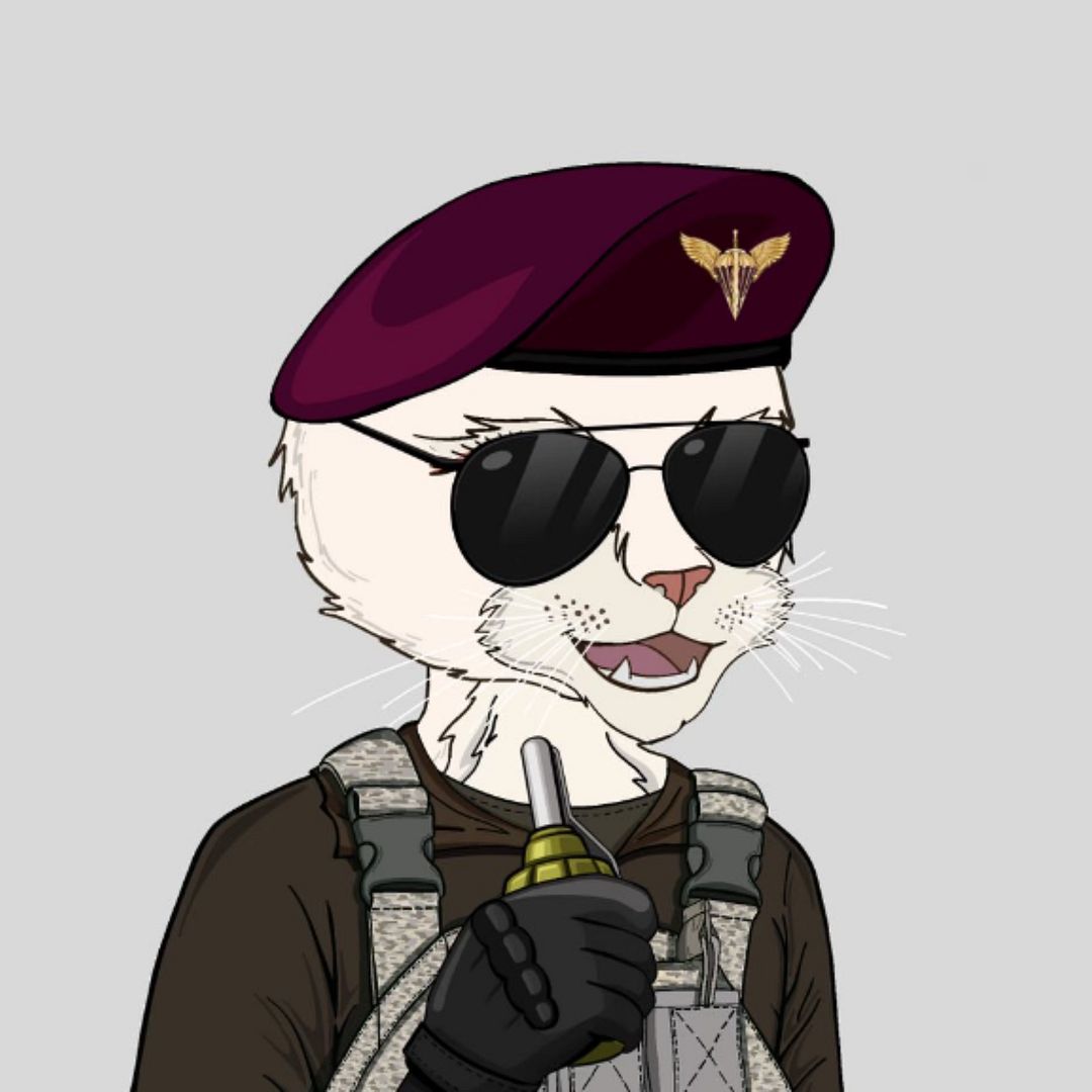 cat military