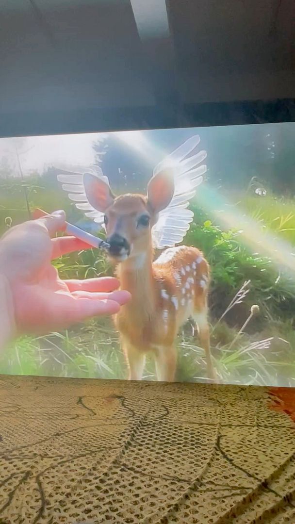 angel deer cigs