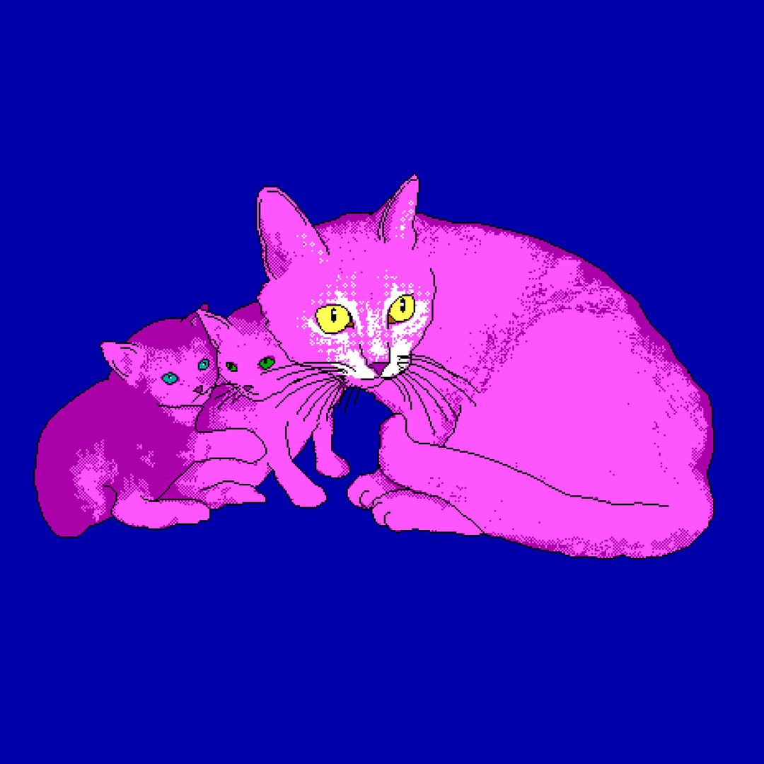 pinkcats