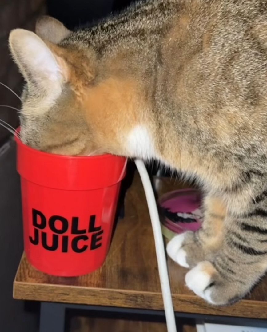 doll juice