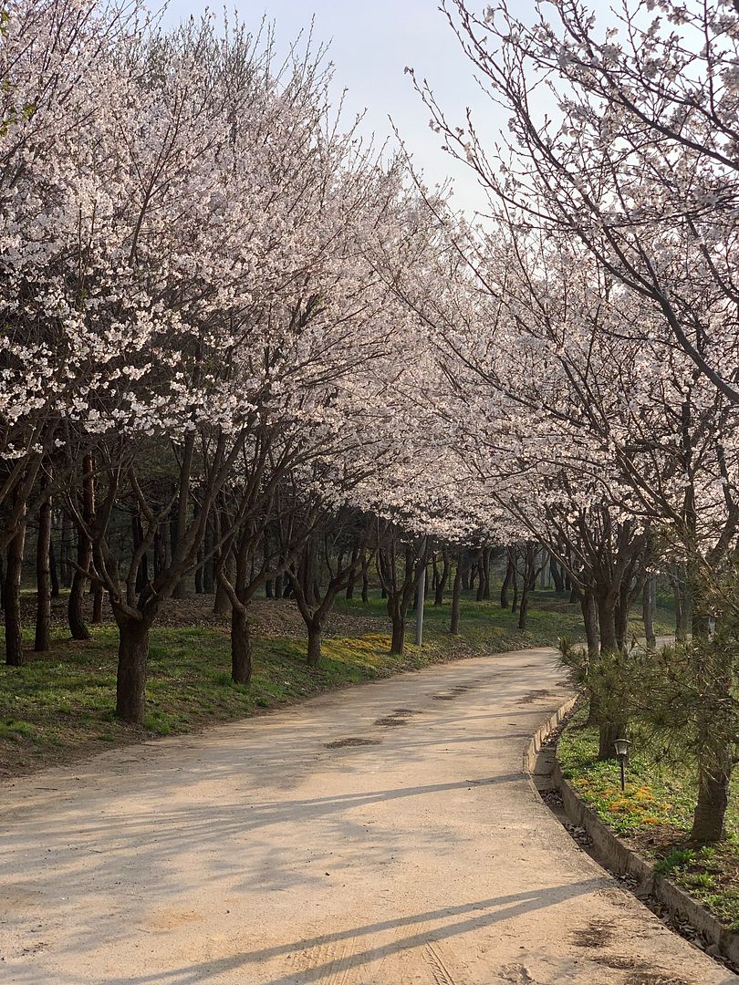 비밀길