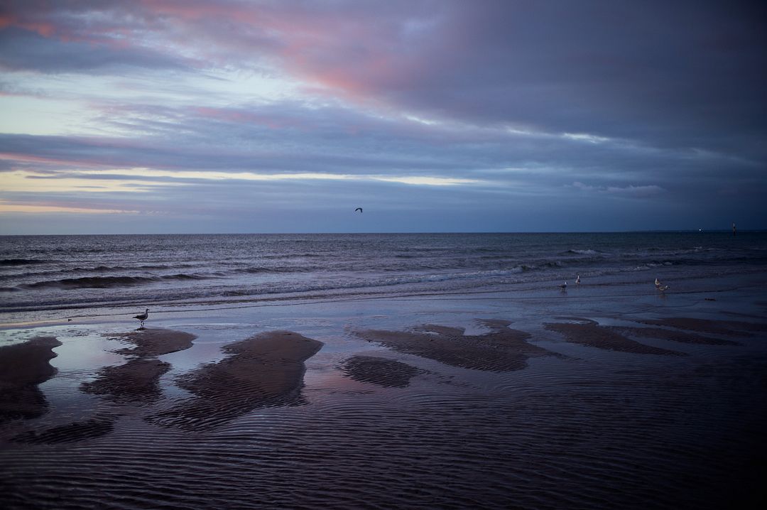 Sandbar Picture with Gulls