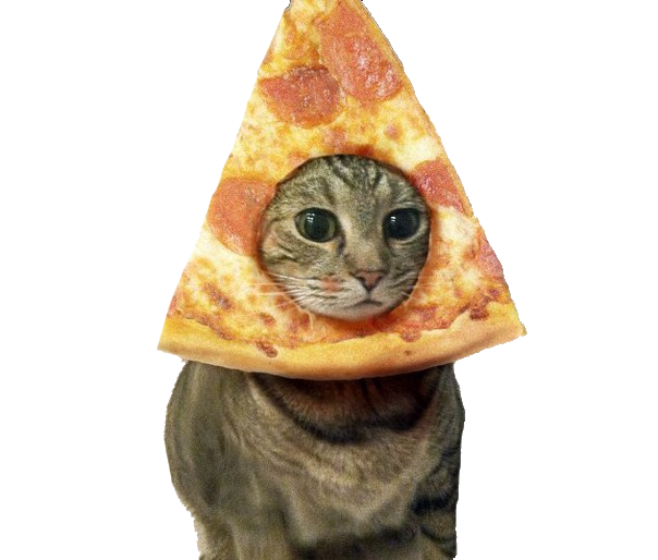 pizzacat