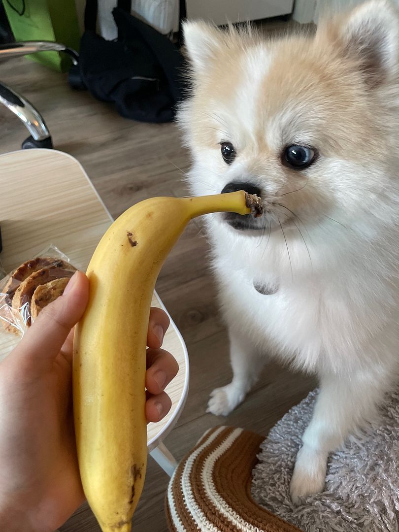 banana bori