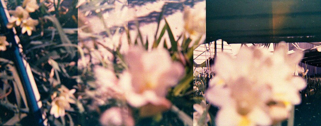 multiple exposure  120 film