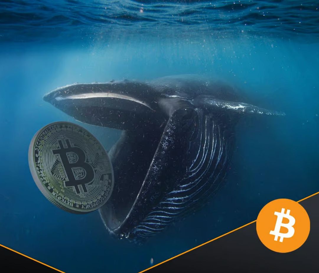 Don't sell your #Bitcoin to the whales!