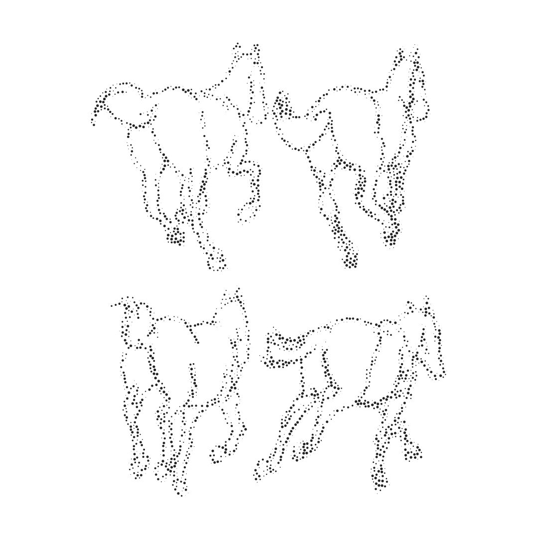 wild_horses.svg