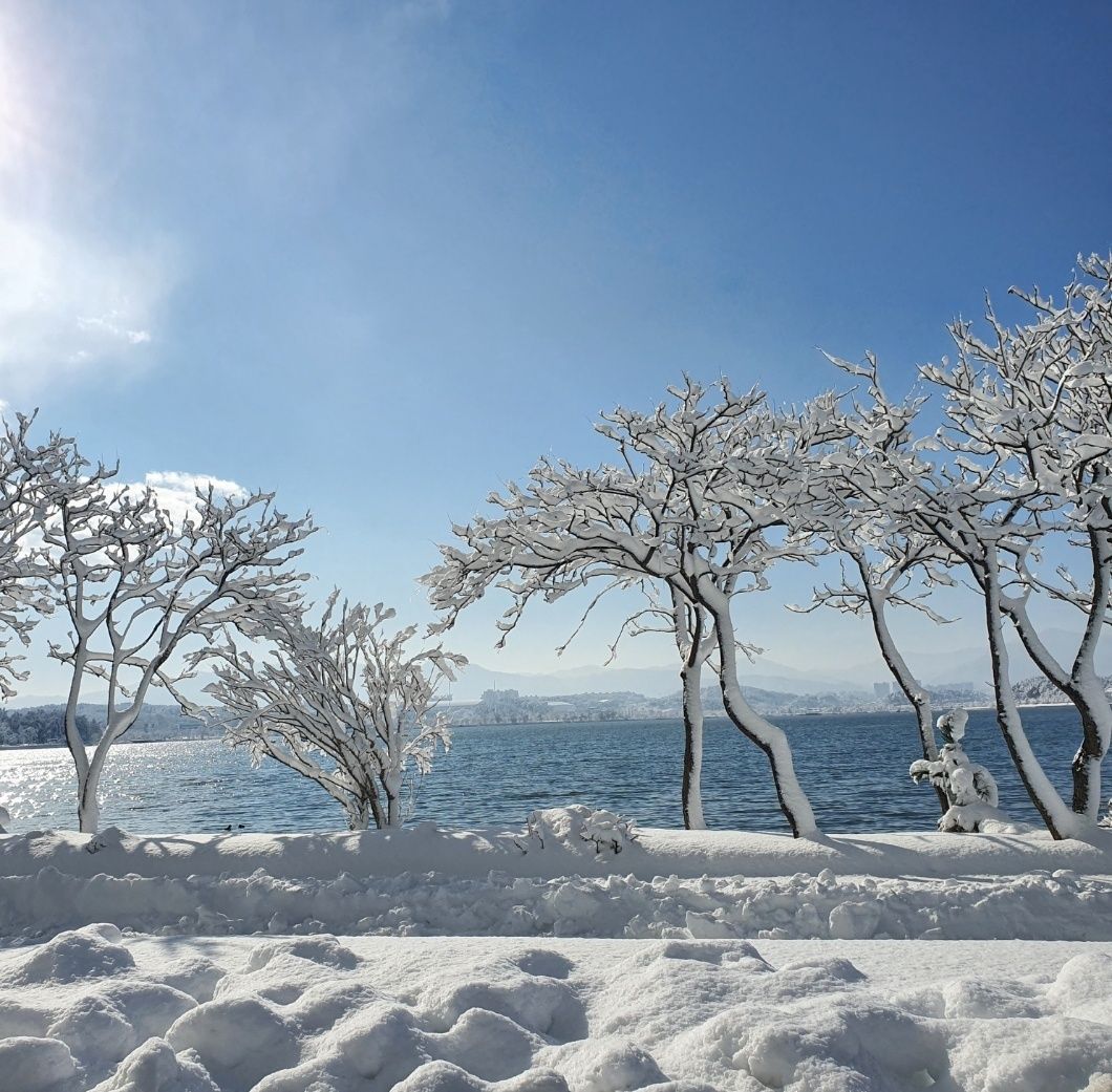 Korea winter