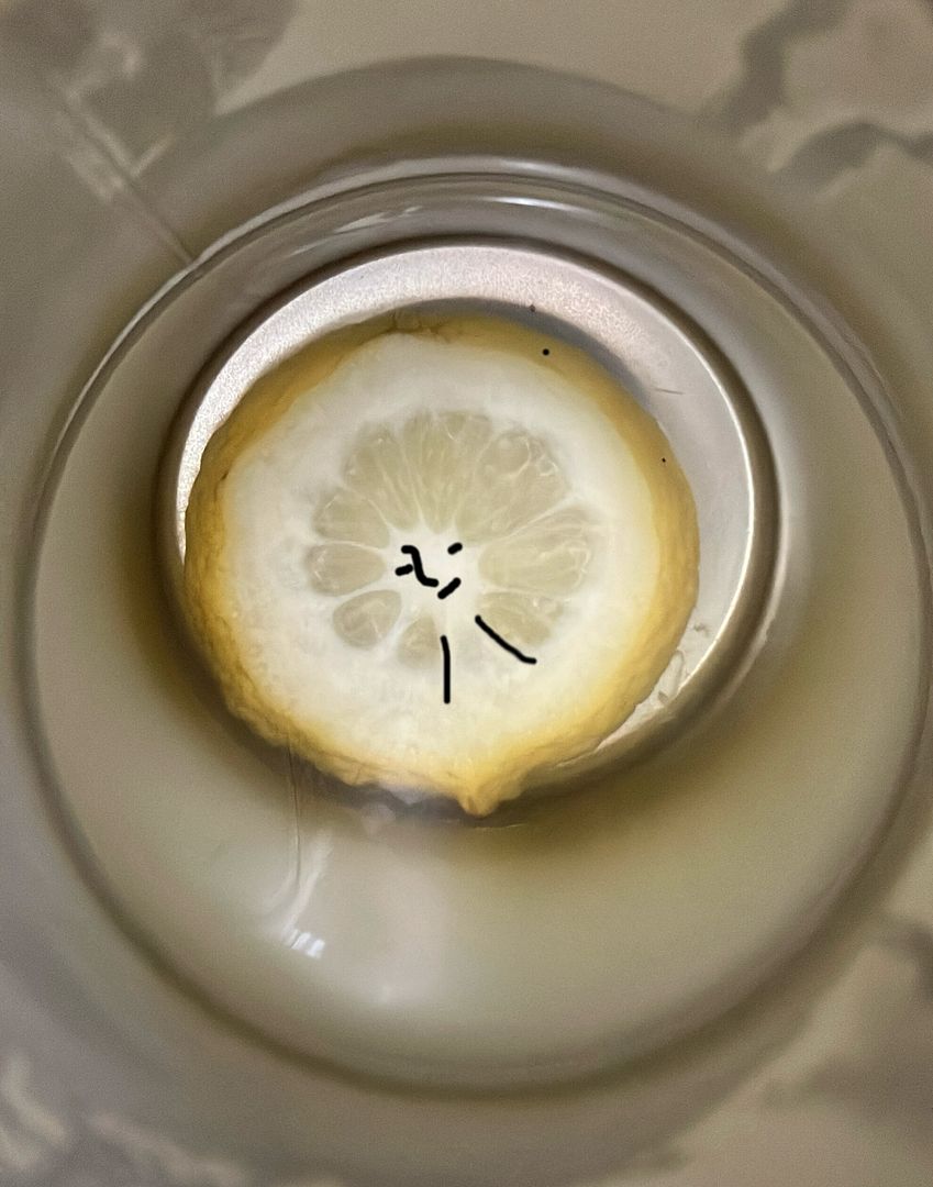 Lemon？