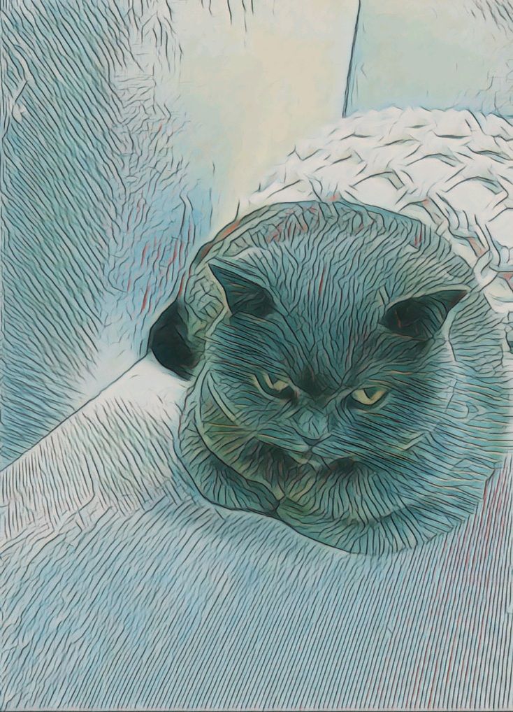 Angry cat drawing