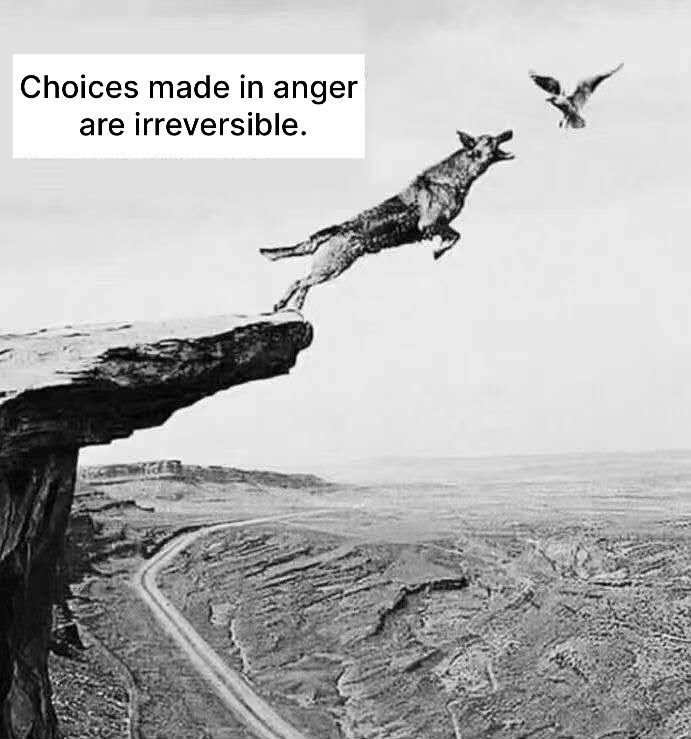 angry choice