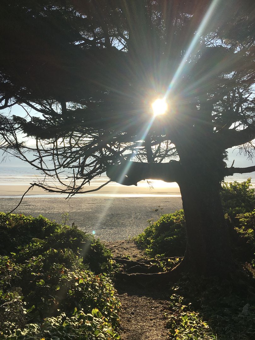 kalaloch