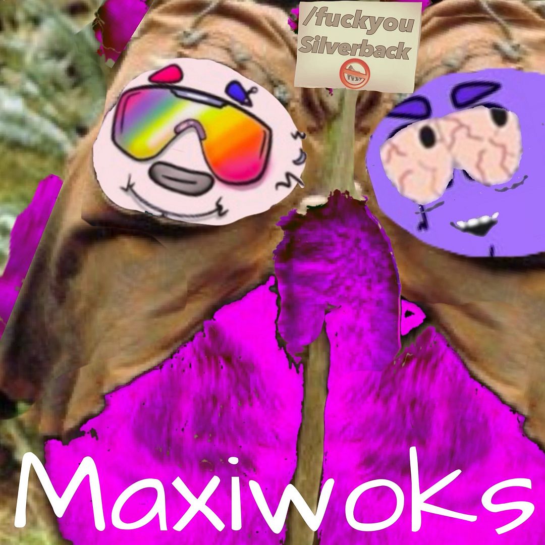 Maxiwoks