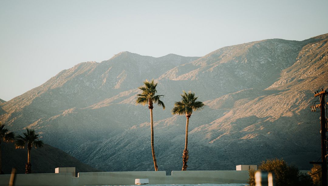 two palm trees in front of a mountain range