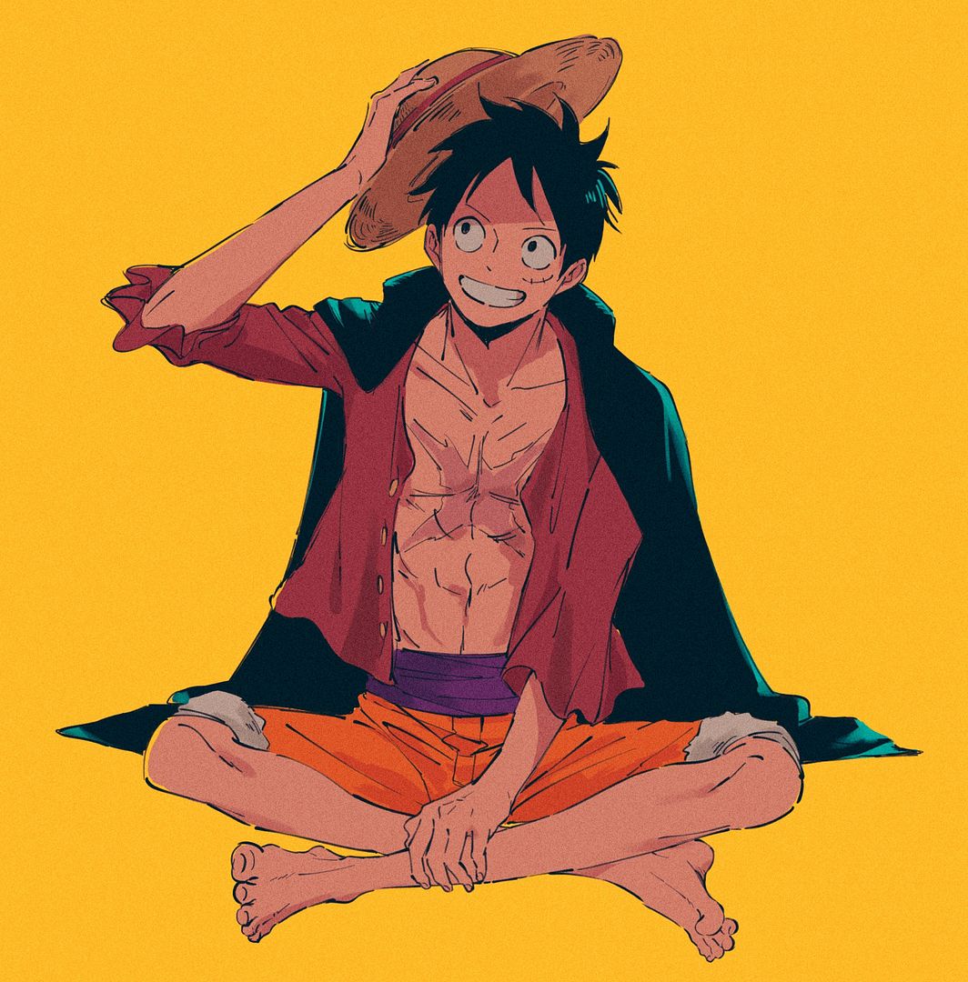 monkey D. luffy