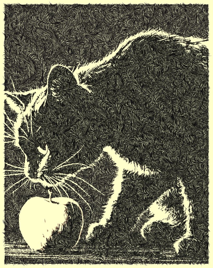 Coding Art : Cat