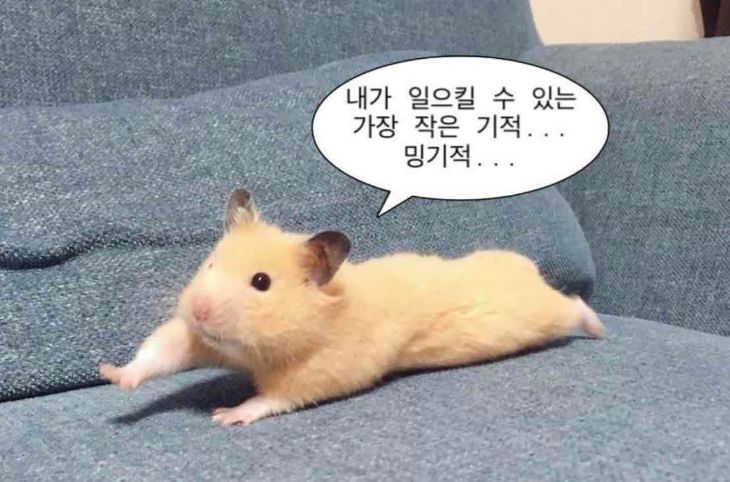 밍기적