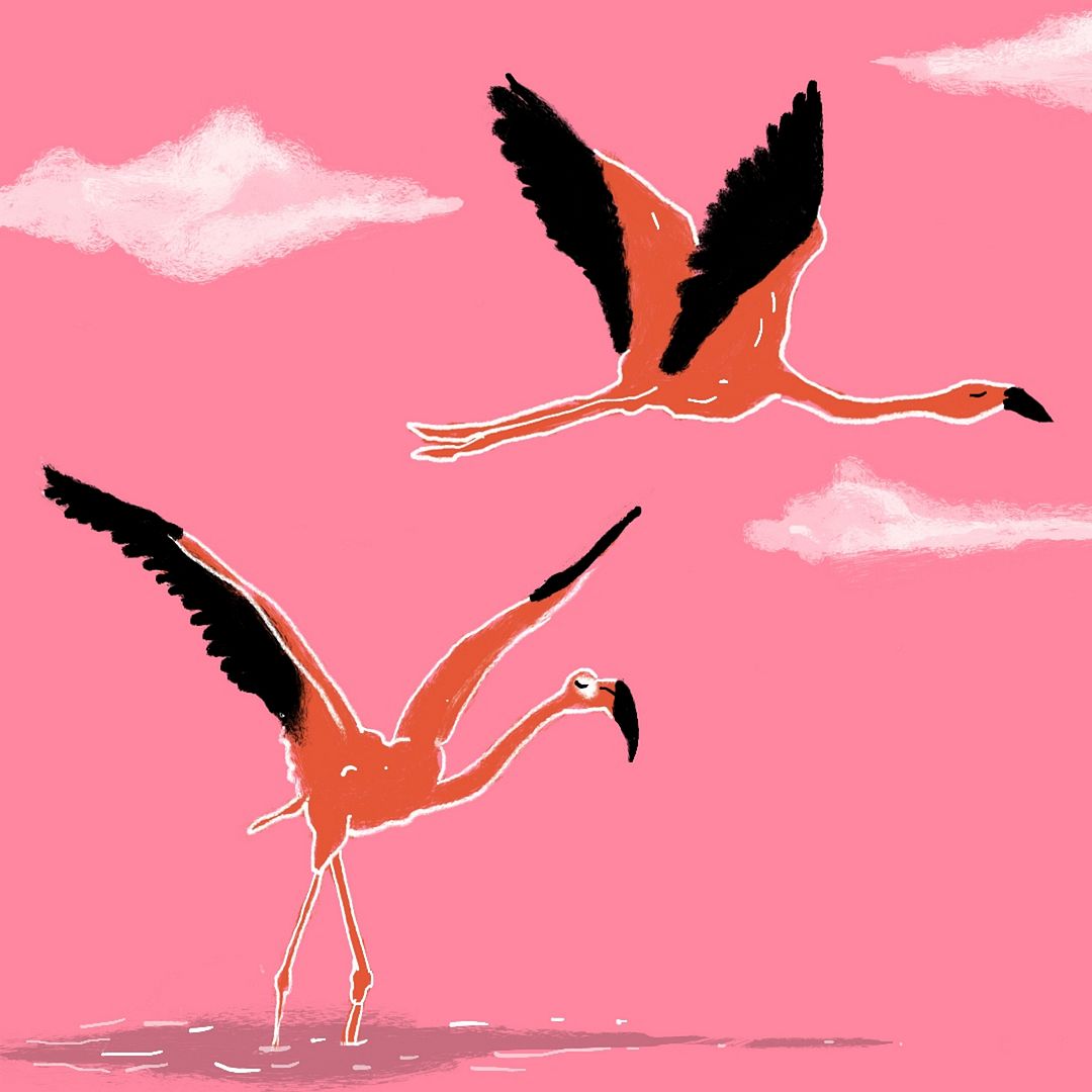 FLAMINGO