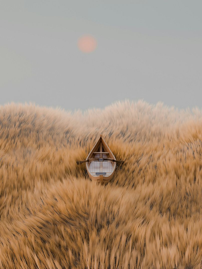 a boat floating in the middle of a dry grass field