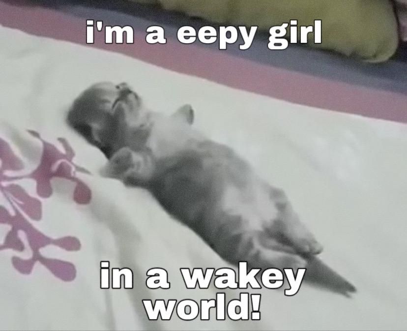 i'm a eepy girl in a wakey world!