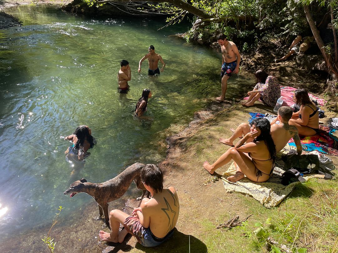 friends and the river