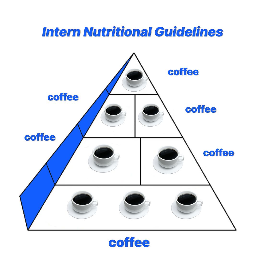 Official Intern Nutritional Guidelines