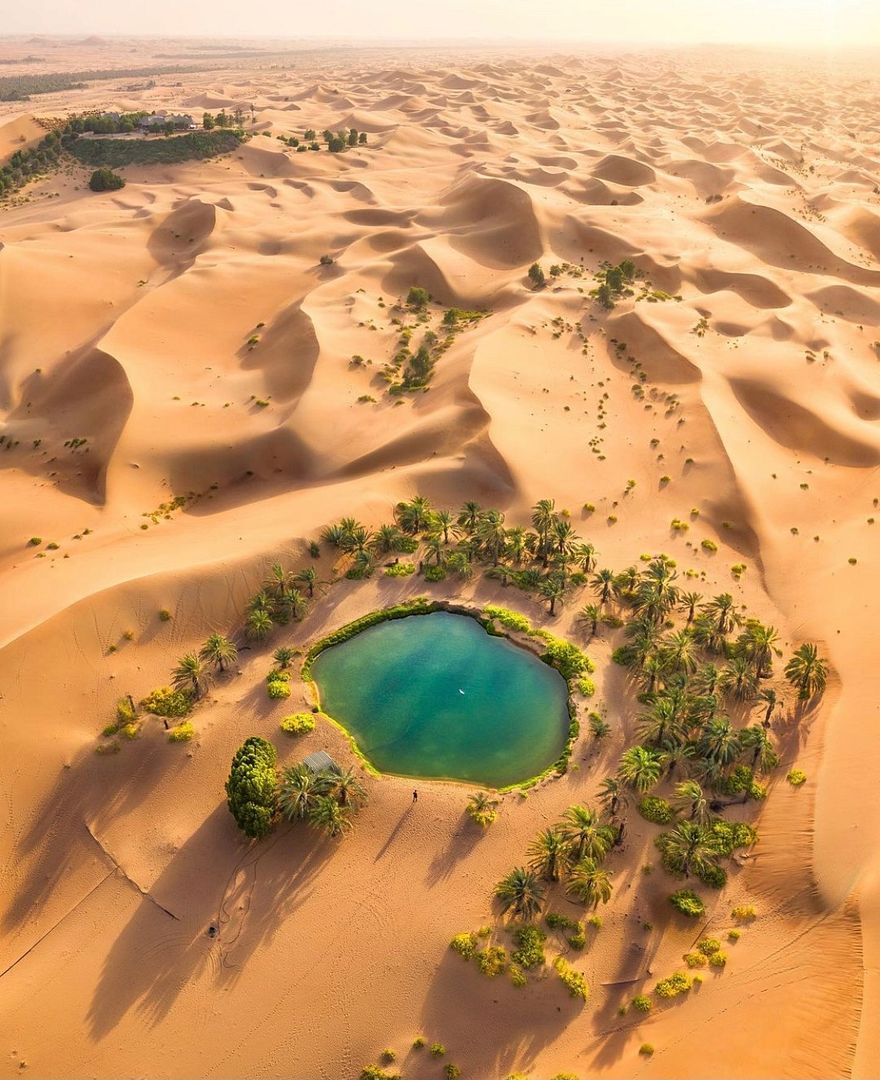 Oasis in the desert