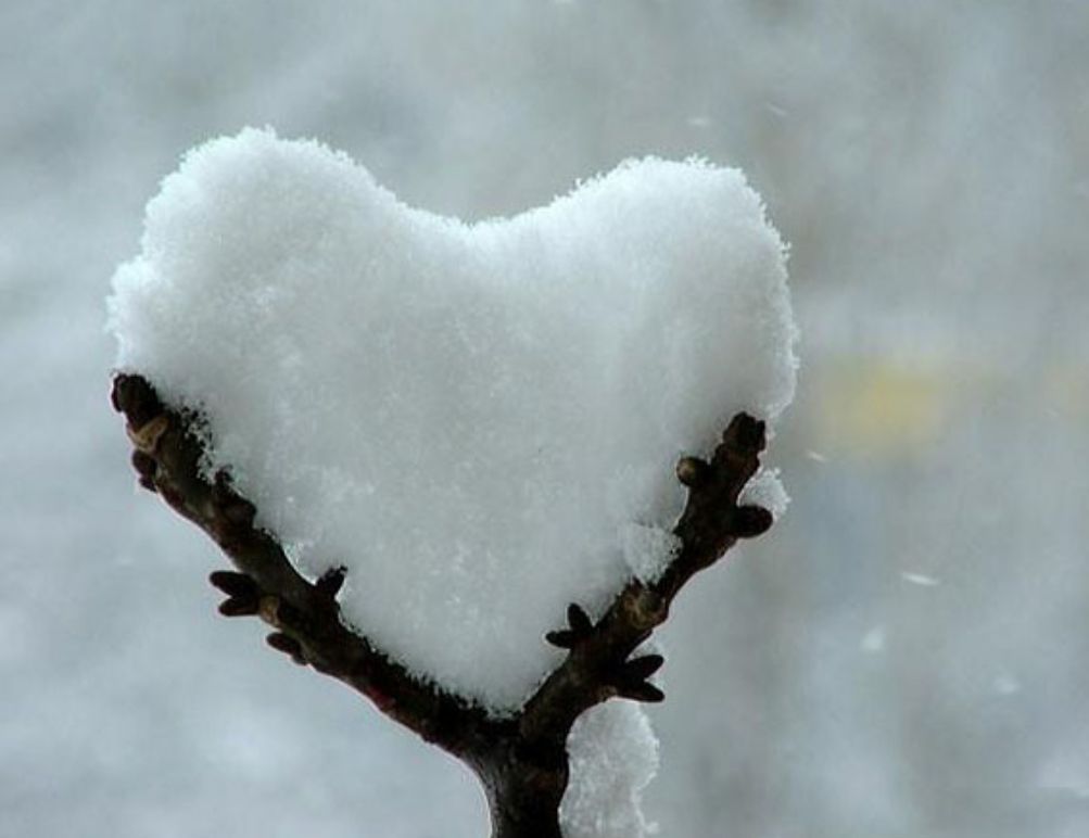 Snow L.O.V.E.