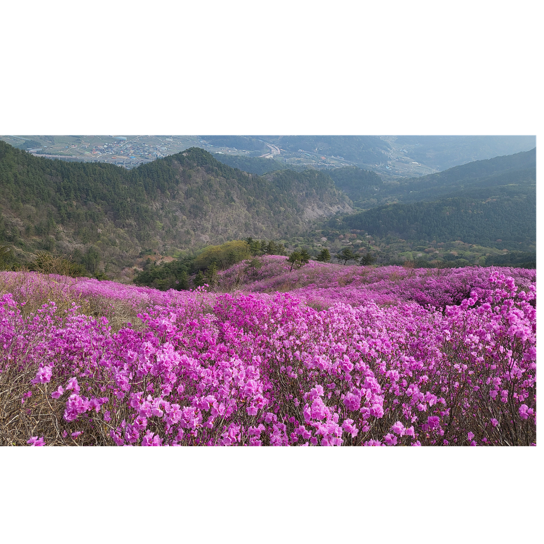 landscape of korea(mountain)