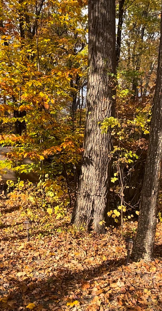 Fall paradise in the Catskills mountains