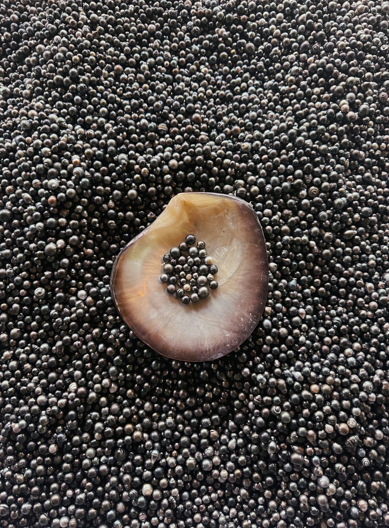 Black pearls