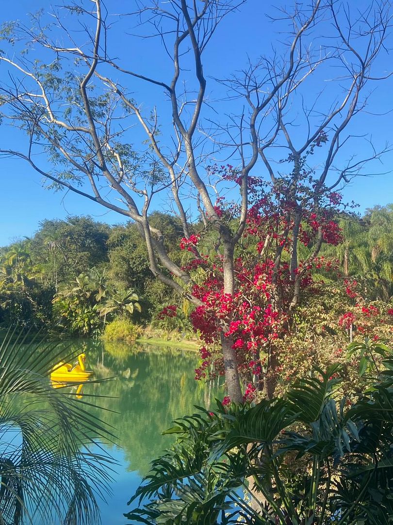 winter day in the global south