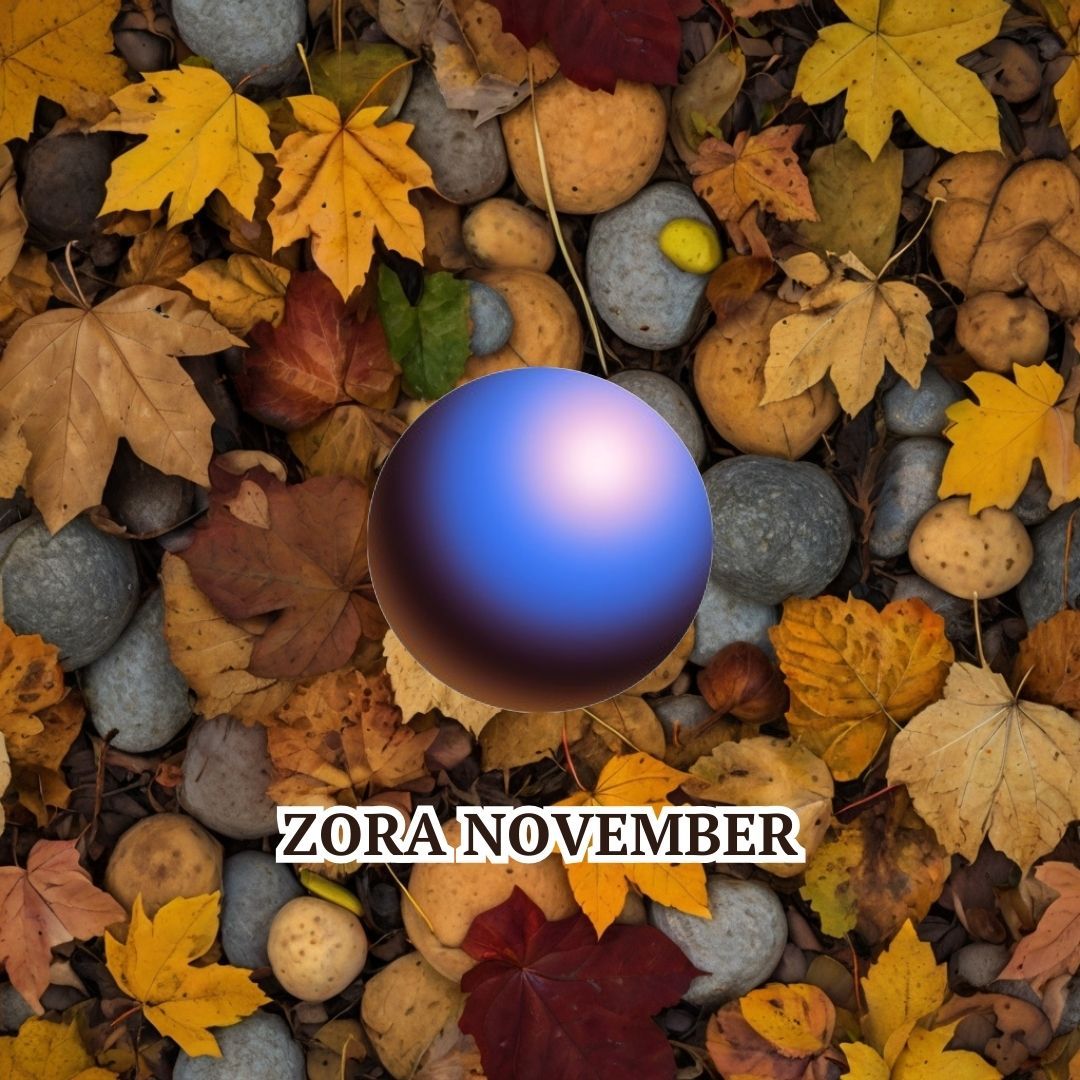 ZORA NOVEMBER™