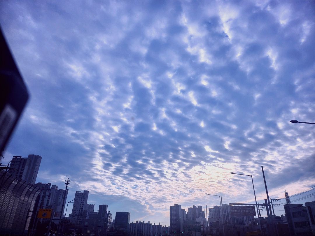 #권적운 (cirrocumulus)