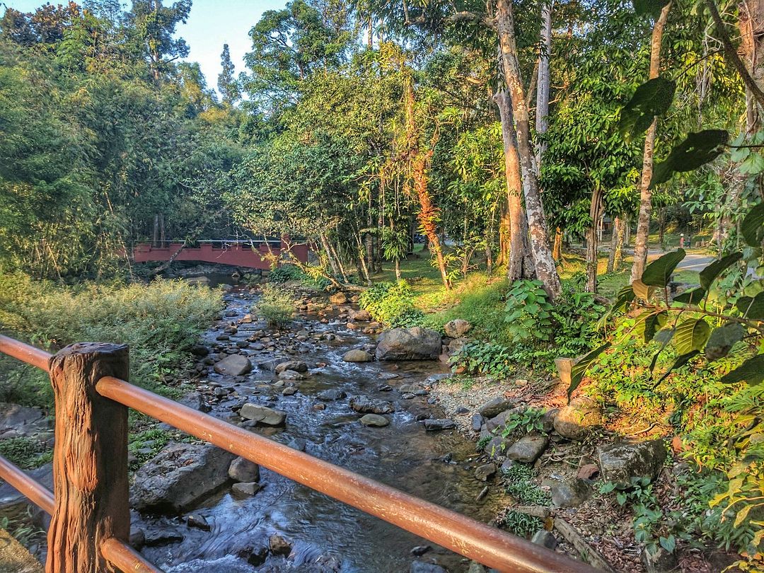 khao sok national park