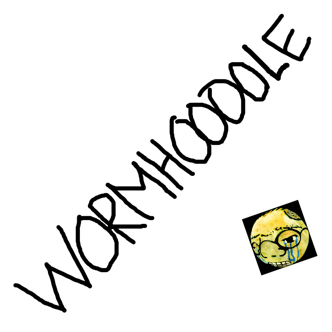 WORMHOOOOLE